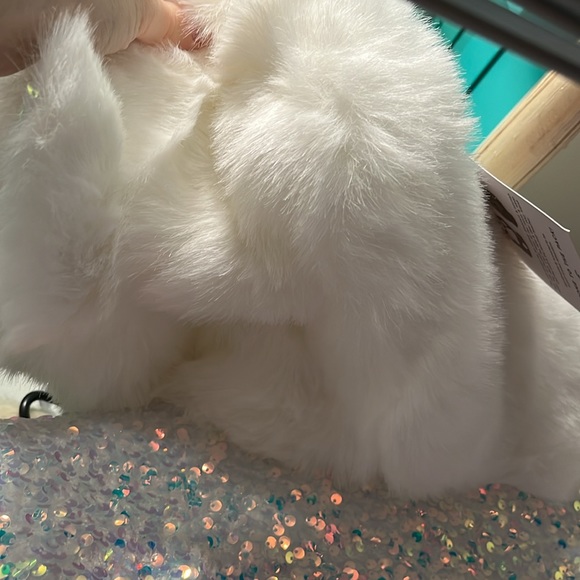 Limited Edition Sold Out Spirit Hood - Picture 14 of 17